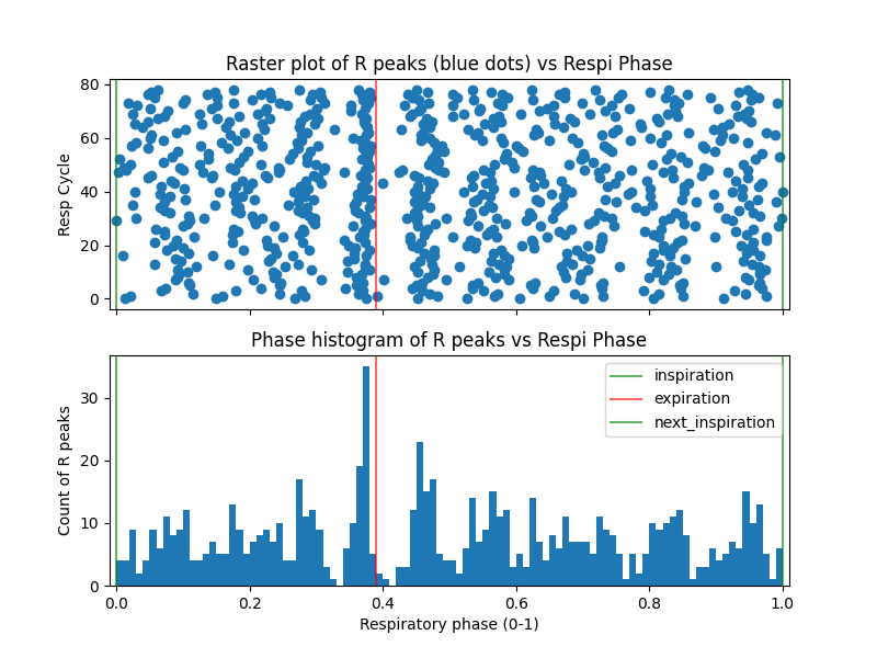 Raster plot of R peaks (blue dots) vs Respi Phase, Phase histogram of R peaks vs Respi Phase