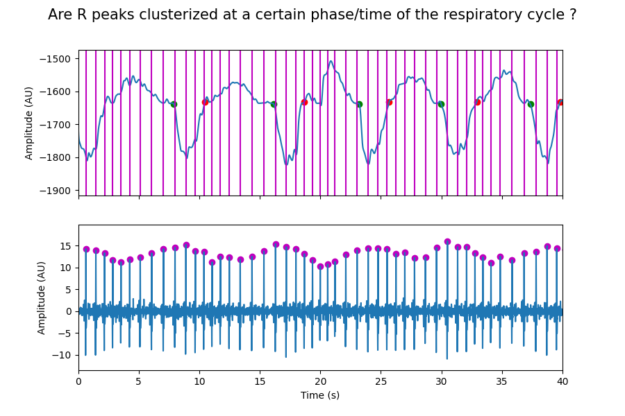 Are R peaks clusterized at a certain phase/time of the respiratory cycle ?
